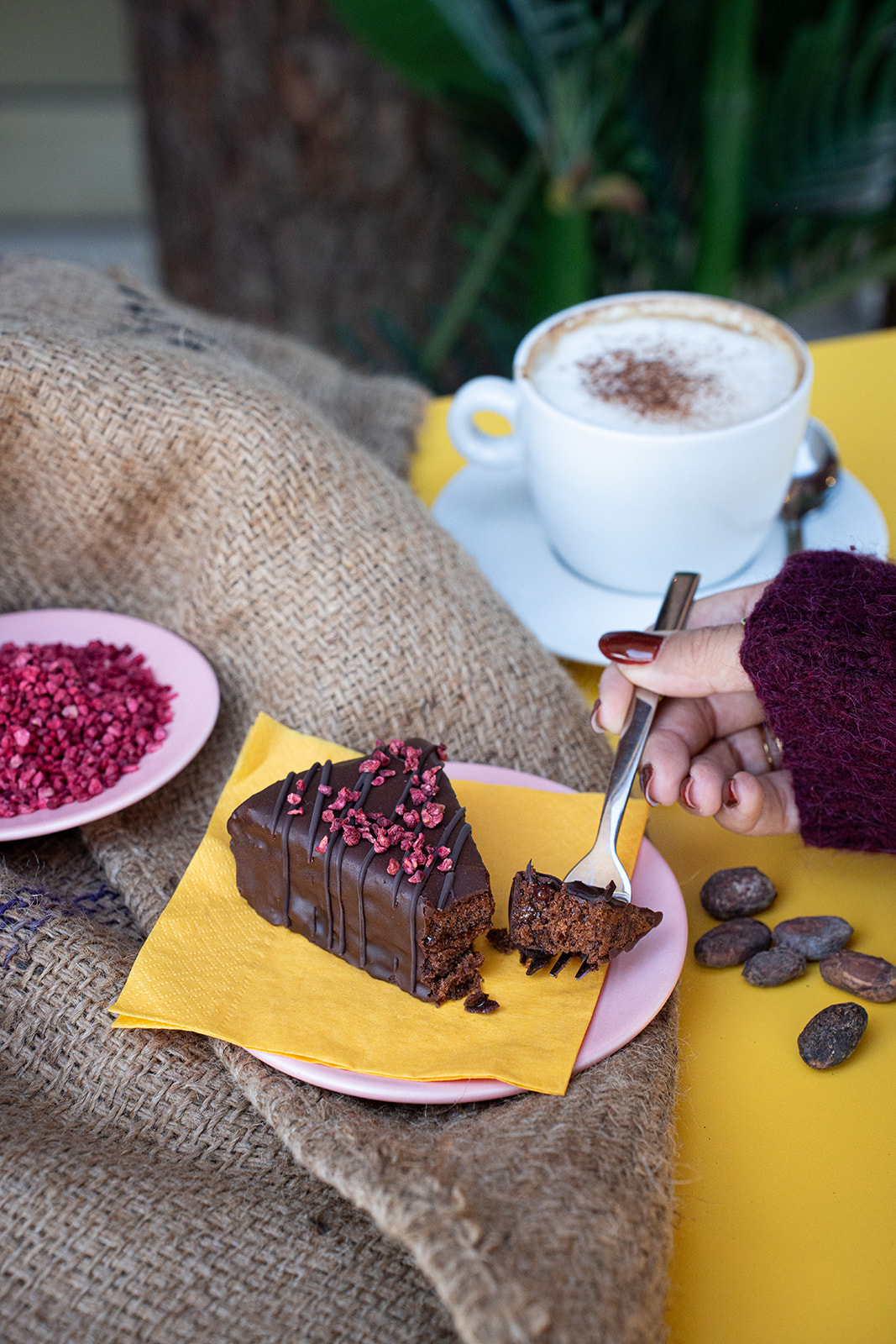 Torta al cioccolato con lamponi disidratati servita con cappuccino nella caffetteria NINA KAKAW